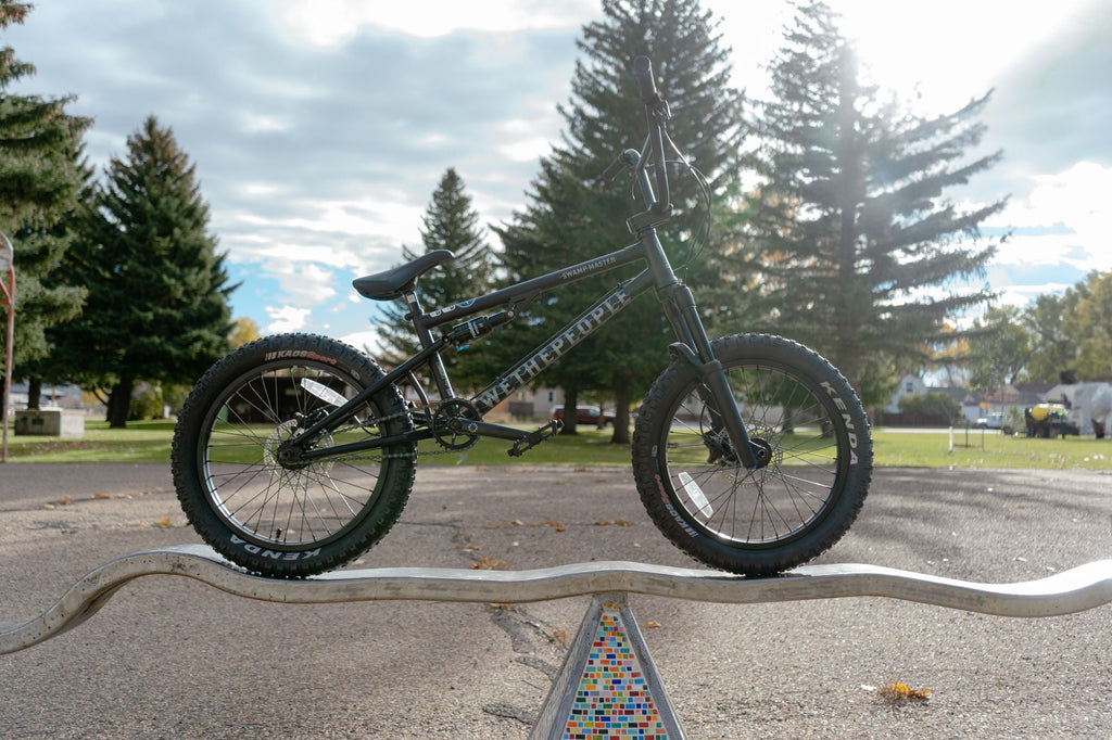 We the People "Swamp Master" full suspension BMX Bike